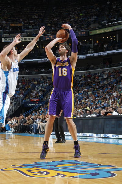 帜性机构 帜性机构